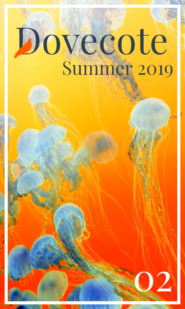Dovecote Magazine: Summer 2019